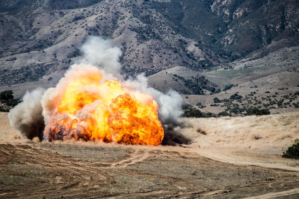 Pendleton EOD disposes of mine clearing line charges