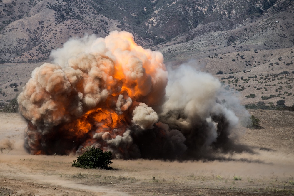 Pendleton EOD disposes of mine clearing line charges