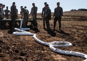 Pendleton EOD disposes of mine clearing line charges