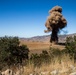 Pendleton EOD disposes of mine clearing line charges