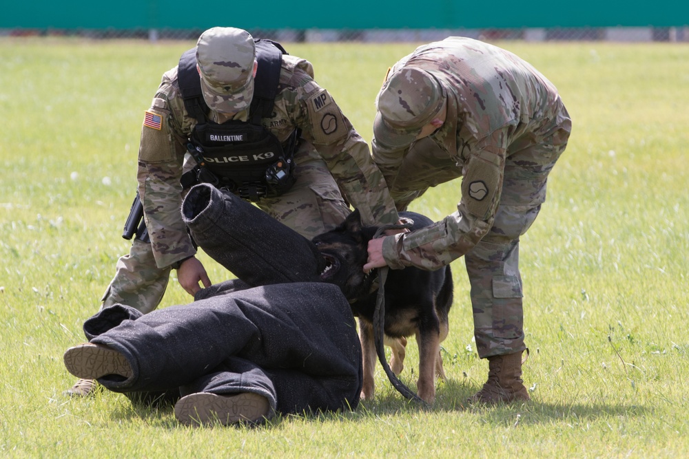 K9 integration training