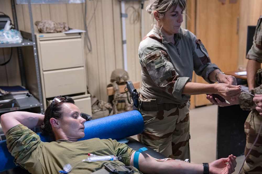 Coalition medics collect and transfuse blood during combined training
