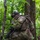 Company A., 1st Battalion, 148th Infantry Regiment conducts reconnaissance training