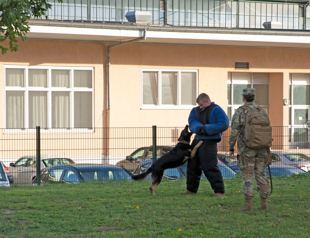 Wiesbaden Soldiers and community members rally against sexual assault