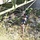 Firefighters Learn Ropes