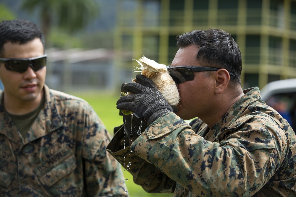 U.S. Marines, Papua New Guinea soldiers conduct joint bridge-building training at Exercise Koa Moana 19