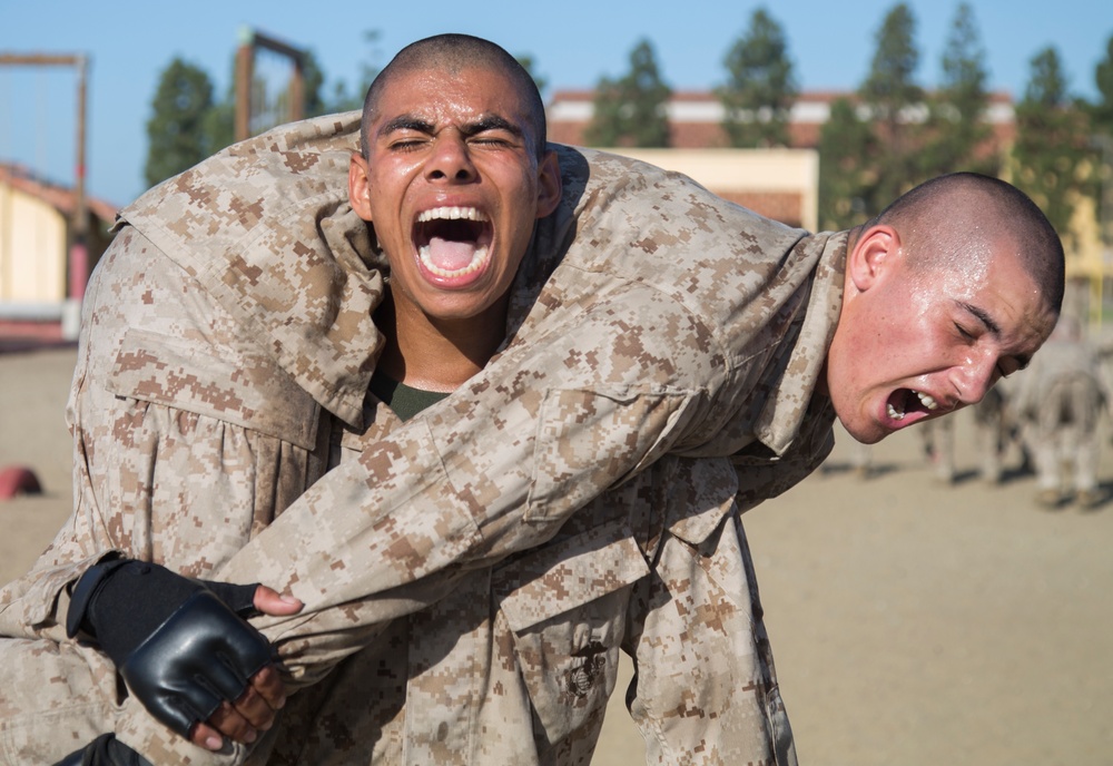 Hotel Combat Conditioning Course