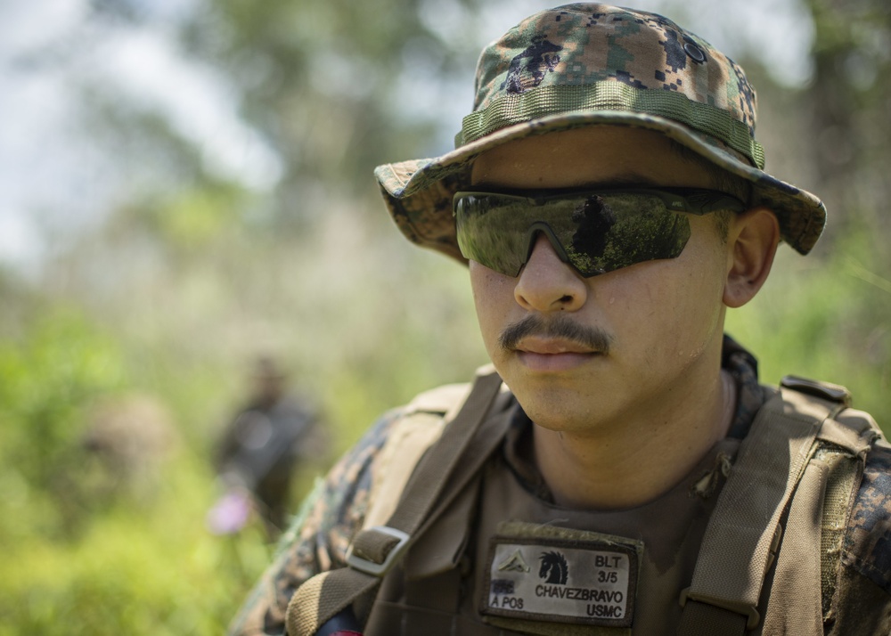 Lima Company patrols the Jungle during Tiger Strike 2019