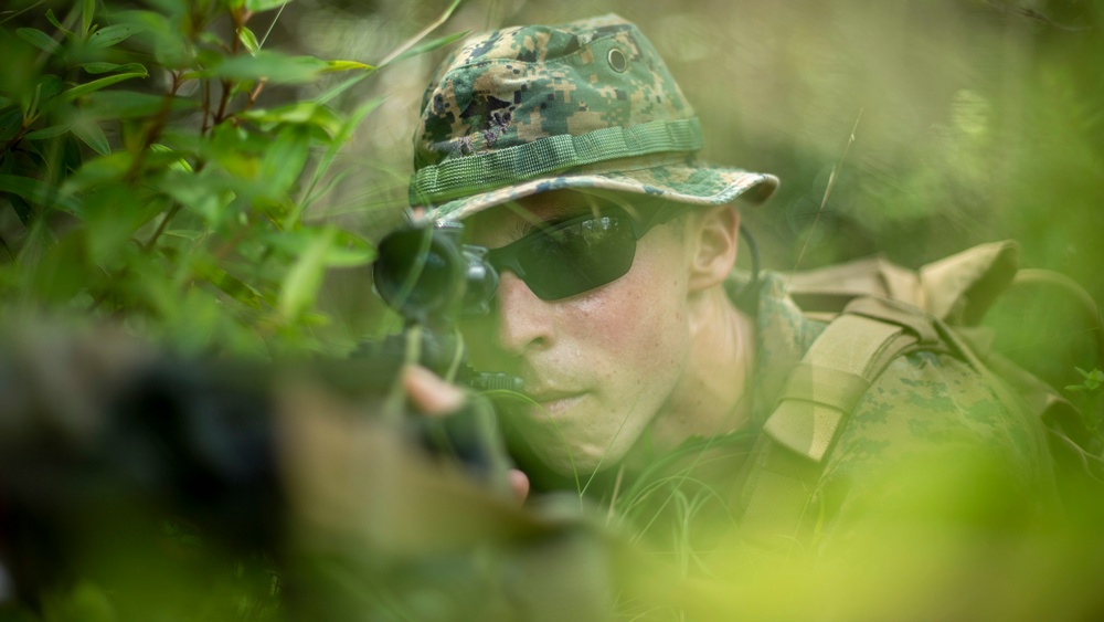 Lima Company patrols the Jungle during Tiger Strike 2019