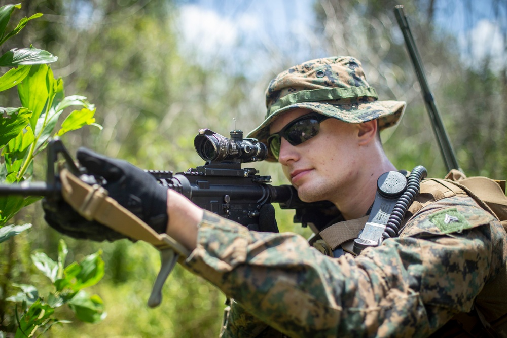 Lima Company patrols the Jungle during Tiger Strike 2019