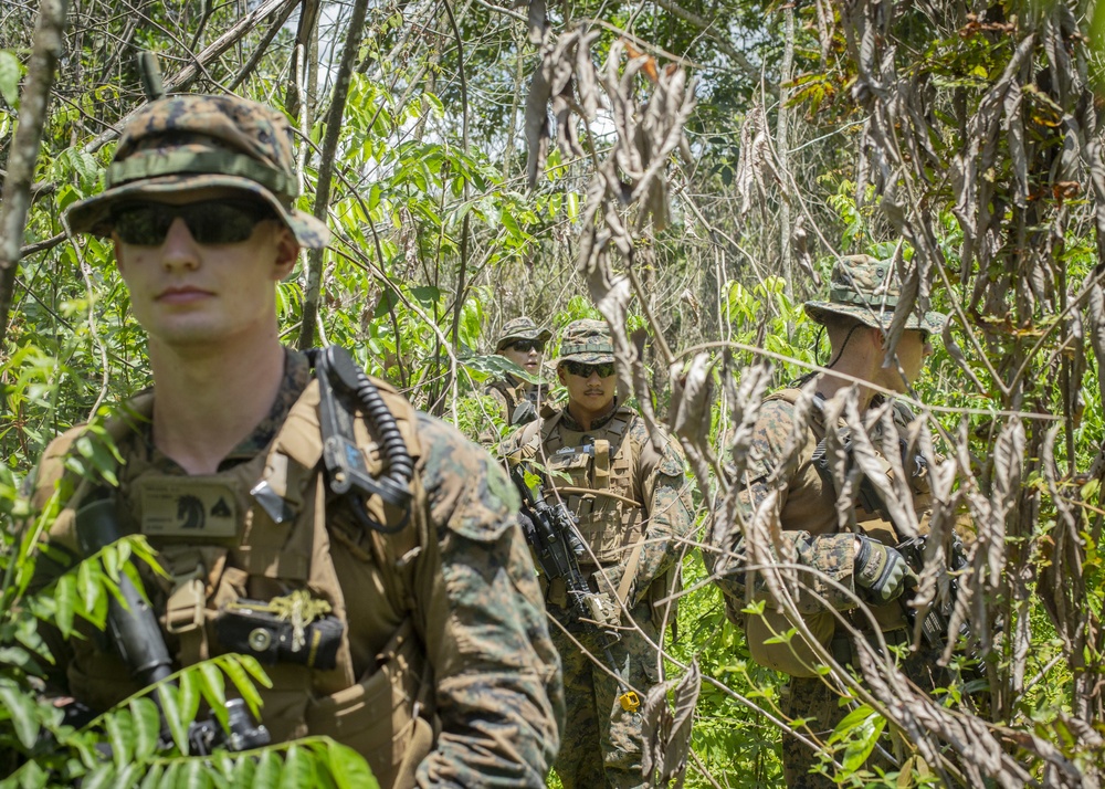 Lima Company patrols the Jungle during Tiger Strike 2019