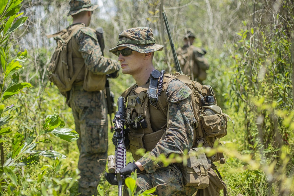 Lima Company patrols the Jungle during Tiger Strike 2019