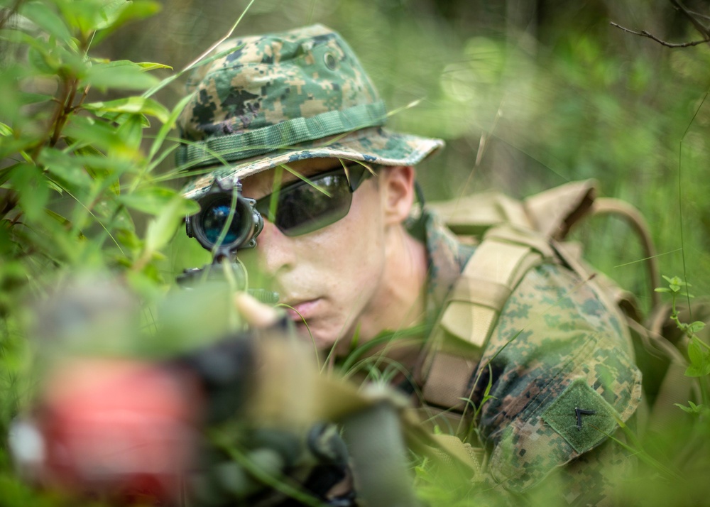 Lima Company patrols the Jungle during Tiger Strike 2019