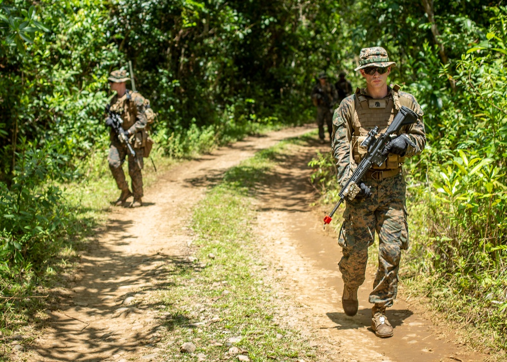 Lima Company patrols the Jungle during Tiger Strike 2019