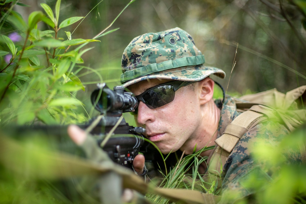 Lima Company patrols the Jungle during Tiger Strike 2019