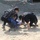 Gobi Wolf 2019