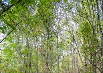 W.Va. Guard’s 249th Band trains on wildland fire suppression