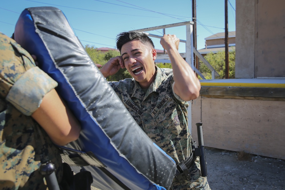 Military, civilian police conduct defensive tactics training