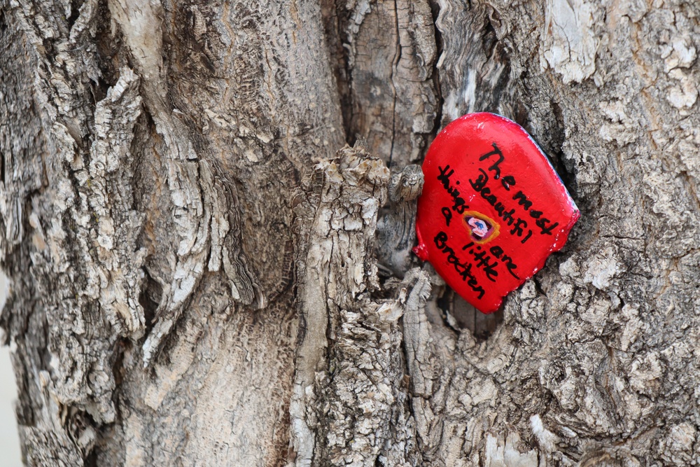 Kindness Rocks: MDG spreads kindness in unusual ways