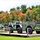 2019 Fall Colors at Fort McCoy's Equipment Park