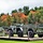 2019 Fall Colors at Fort McCoy's Equipment Park