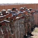New York Army Guardsmen during 2010 South African Military Skills Competition