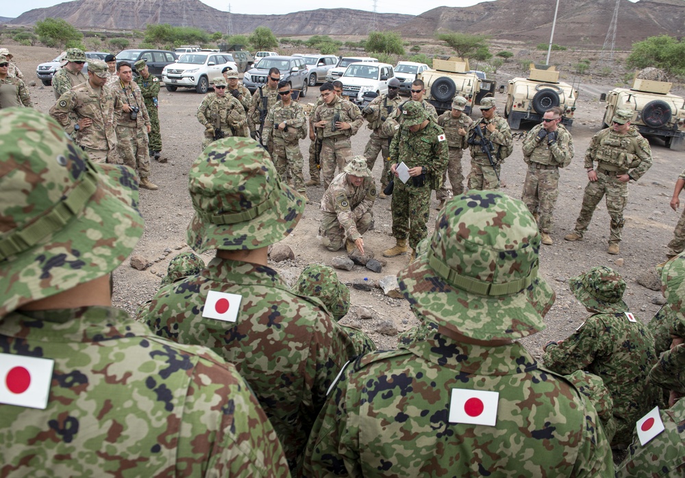 Japanese-led NEO enhances interoperability among coalition and African partner nations