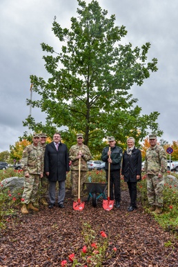 Planting an oak tree- growing community roots