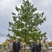 Planting an oak tree- growing community roots
