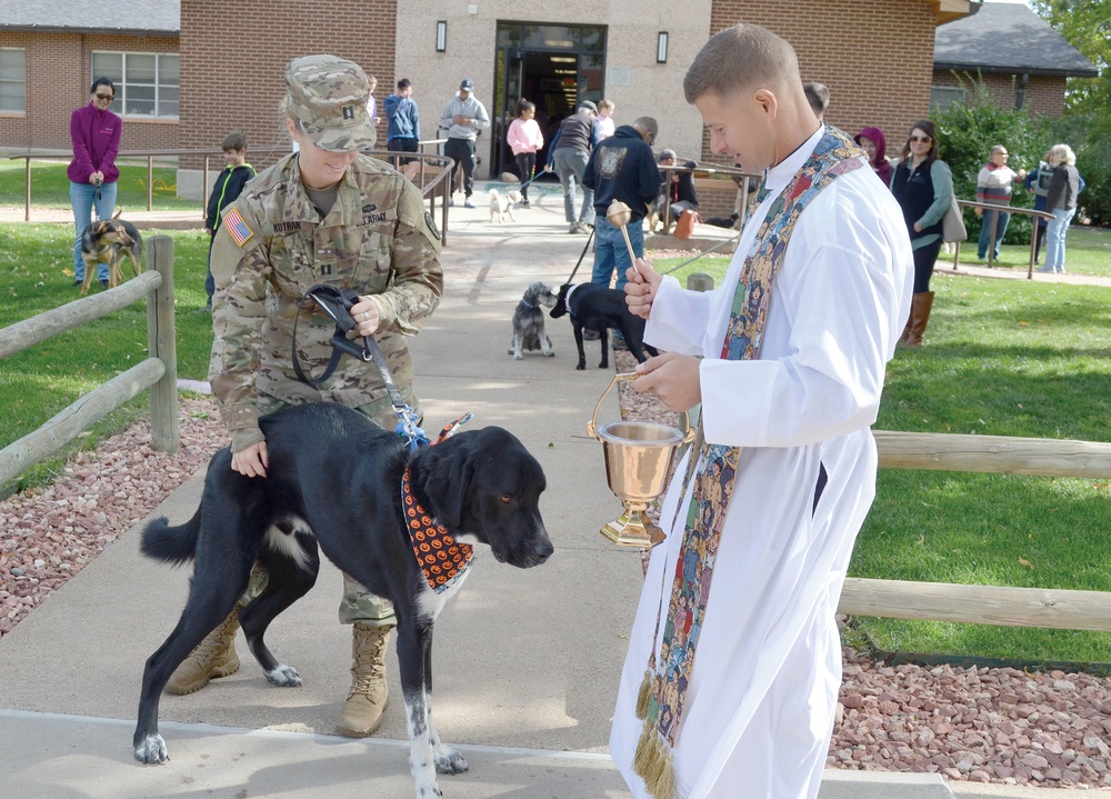 Blessings of animals
