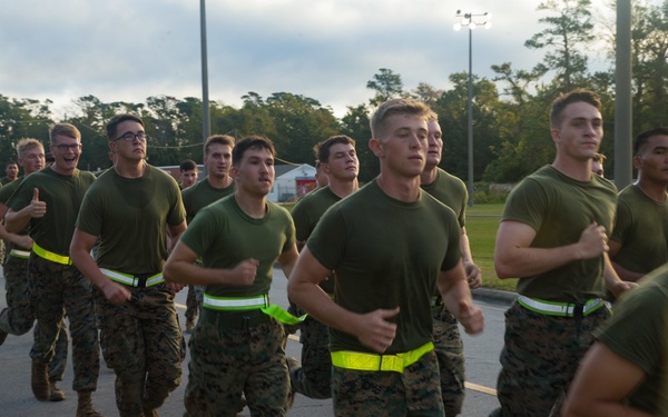 A Ten Out of Ten Teufelhunden