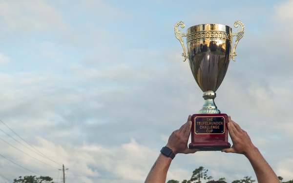 A Ten Out of Ten Teufelhunden