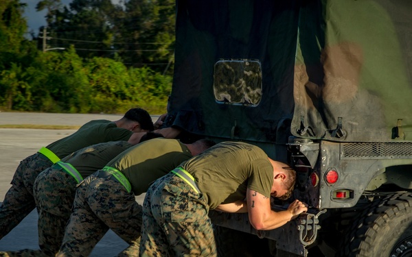 A Ten Out of Ten Teufelhunden