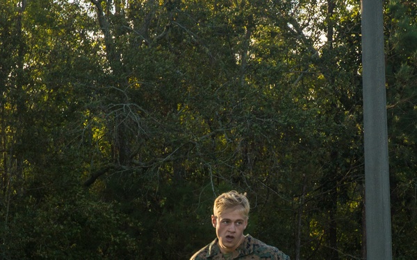 A Ten Out of Ten Teufelhunden