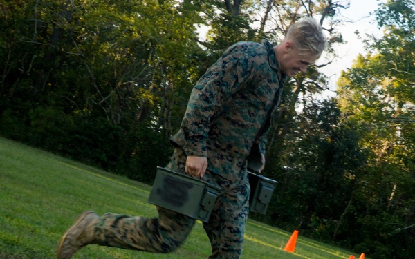 A Ten Out of Ten Teufelhunden