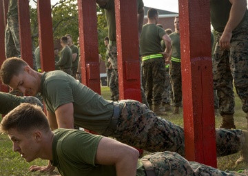 A Ten Out of Ten Teufelhunden