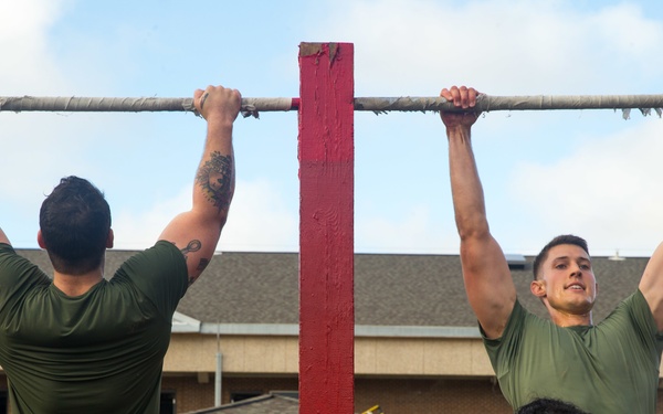 A Ten Out of Ten Teufelhunden