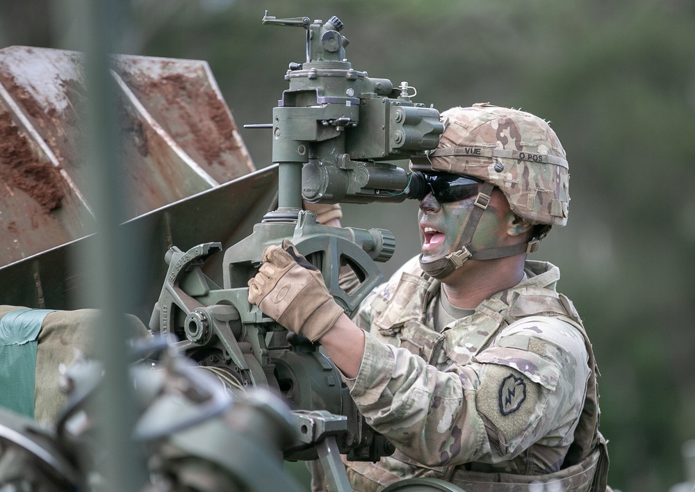 25th Infantry Division conducts air assault artillery raid