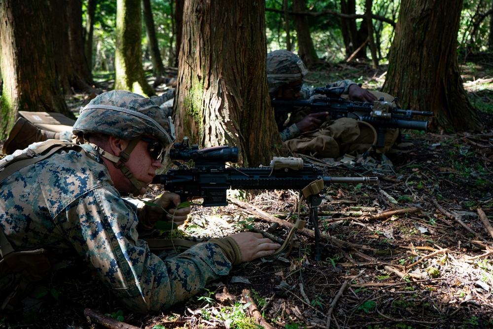 U.S. Marines conduct field training during Fuji Viper 20.1