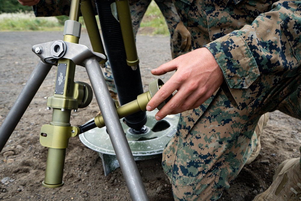 U.S. Marines conduct field training during Fuji Viper 20.1