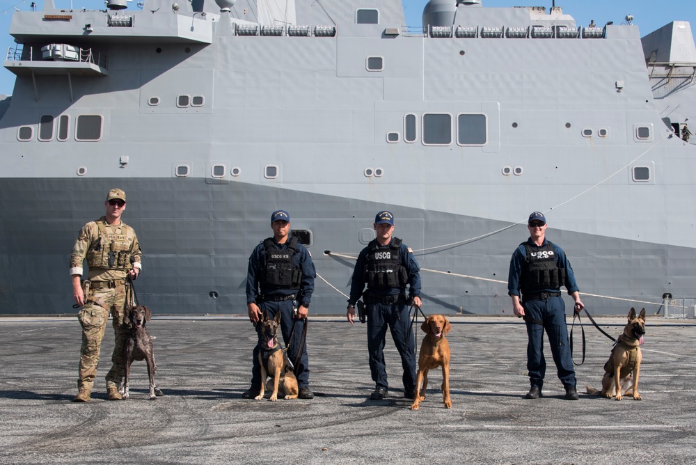 San Francisco Fleet Week 2019 - Paw Patrol