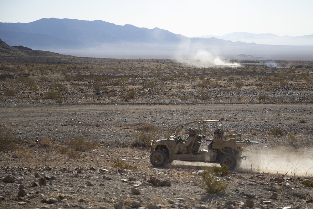 Marines of 1/6 operate as companies on Range 400