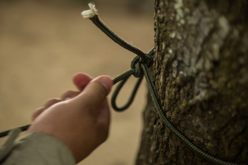 US, Colombian Marines enhance partnership through jungle warfare training in Colombia