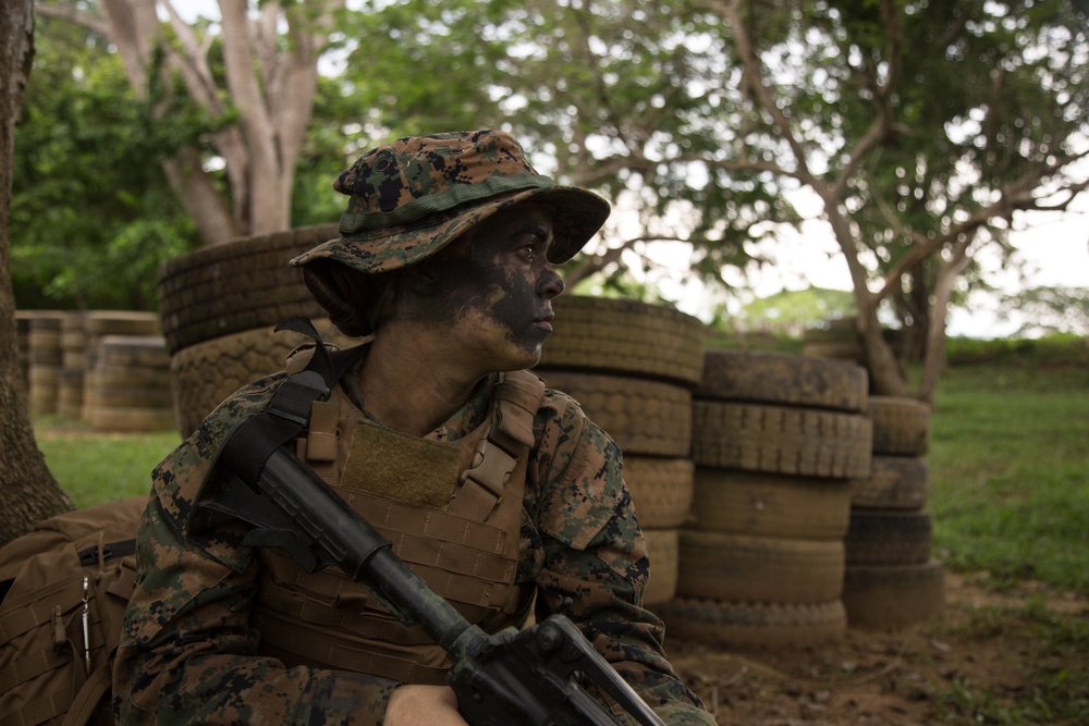 US, Colombian Marines enhance partnership through jungle warfare training in Colombia