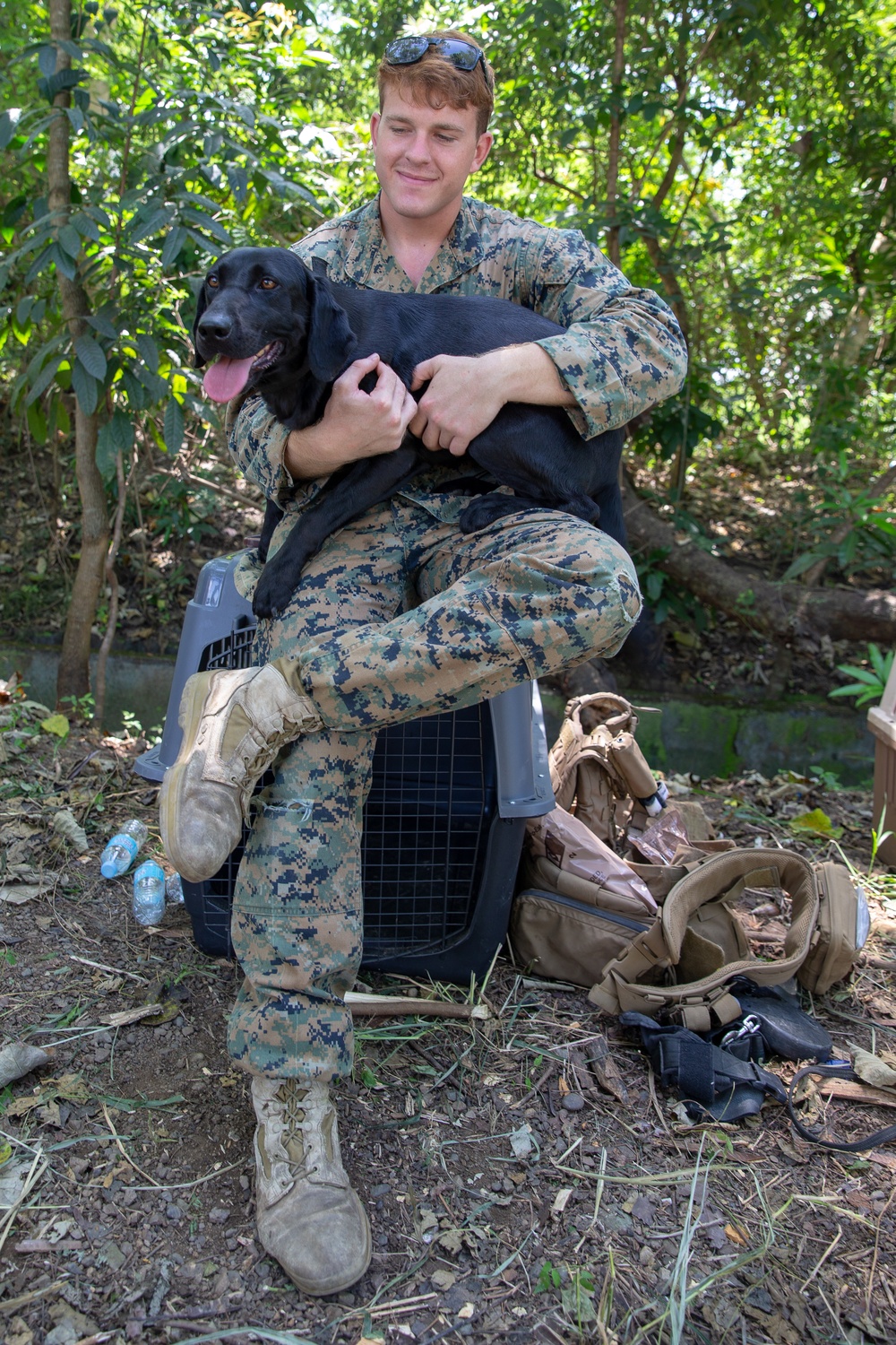 Philippine and US Marine Dog Handlers Train Together