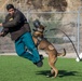 Pendleton Marines conduct canine bite training