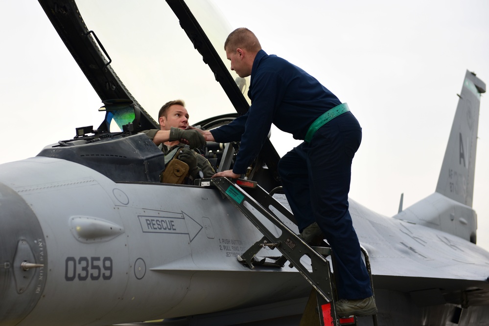 31st Fighter Wing partners with Poland for Nickel Strike