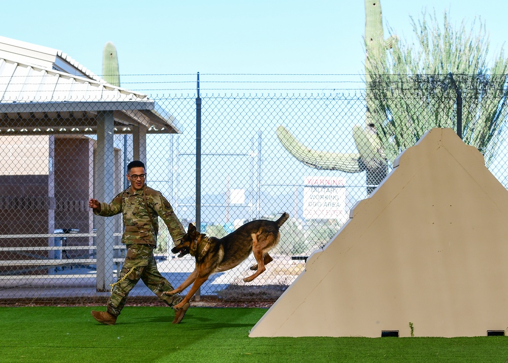 MWD: Welcome to the dog show