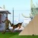 MWD: Welcome to the dog show