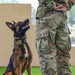 MWD: Welcome to the dog show